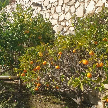Dona Pilar Mijas